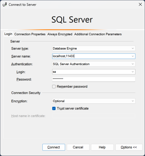 SSMS Docker Server Connection Properties
